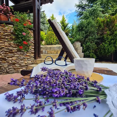 Orbilux 3* Μπάνσκο